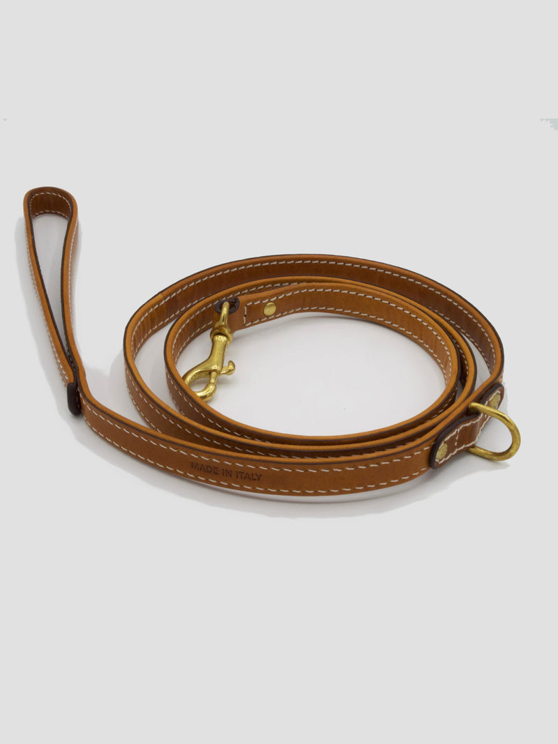 Dog Kit Saddle [Luxury Puppy Collar, Leather Puppy Leash]