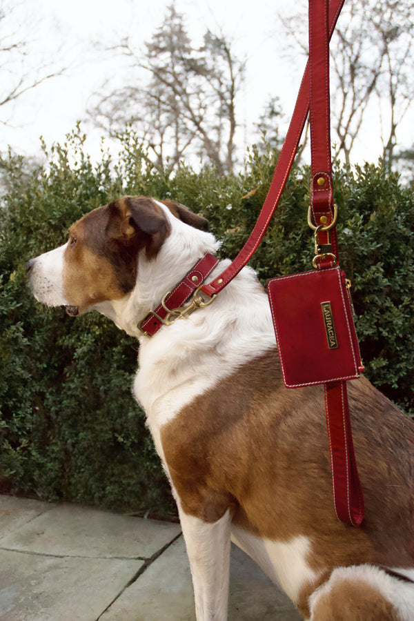 Dog Kit Red [Dog Leash, Leather Leash, High Quality]