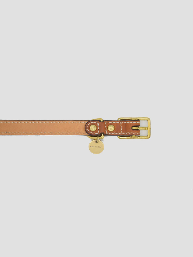 Dog Kit Saddle [Classic Collar, Premium Leash]