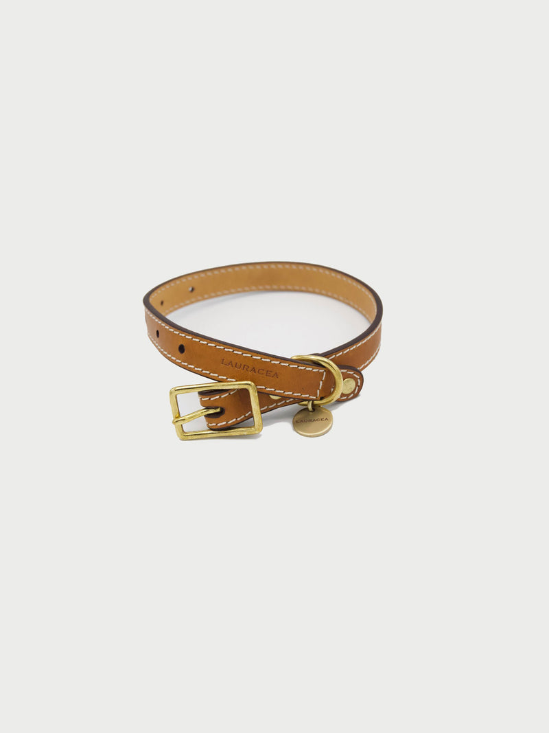 Dog Kit Saddle [Leather Dog Leash, Dog Collar, Saddle Collar]